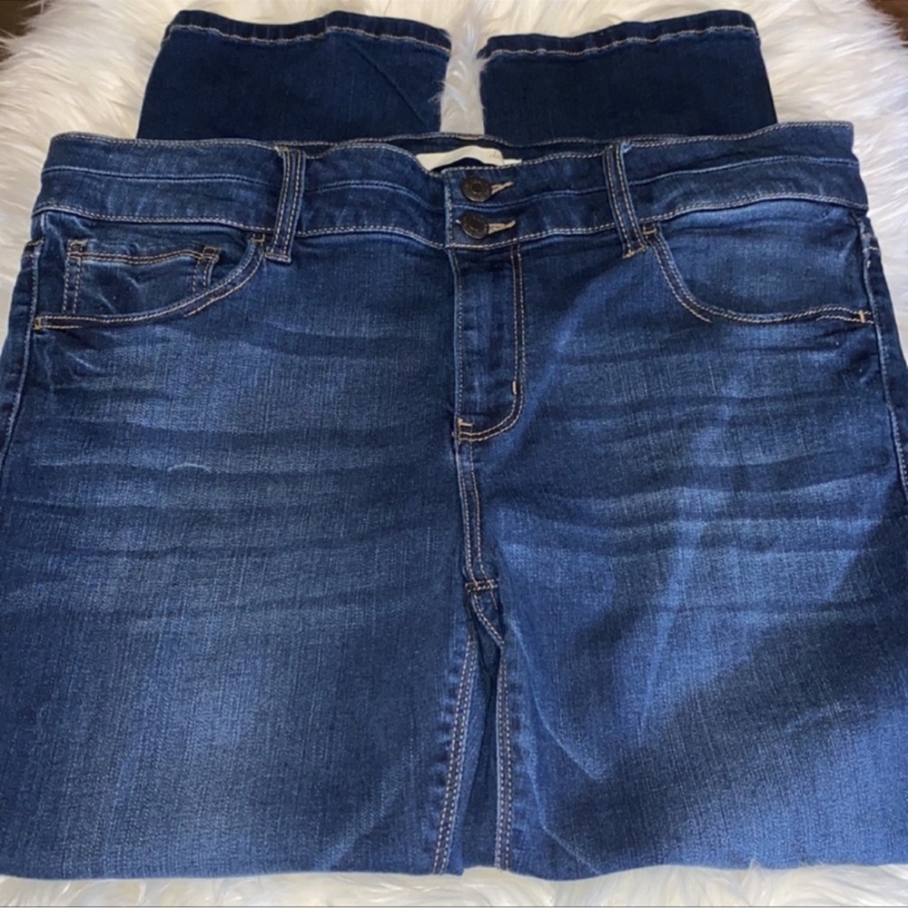 Daytrip Refined Lynx Stretch Cropped Jean - Picture 1 of 6